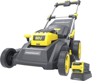 Best lawn mower for business